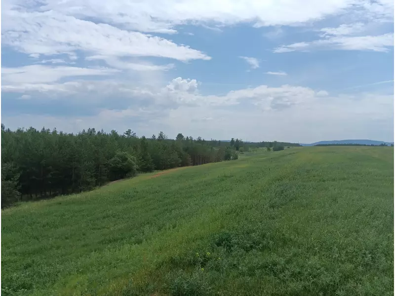 Рекультивация свалки возле ОАО «АвтоВазАгрегат»