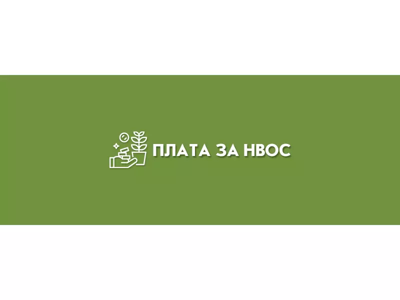 Определены ставки платы за НВОС на 2024-2025 годы