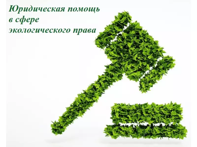 Юридическая помощь в сфере экологического права
