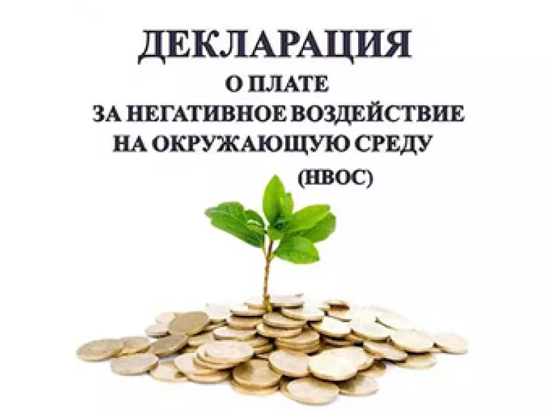 Декларация о плате за НВООС