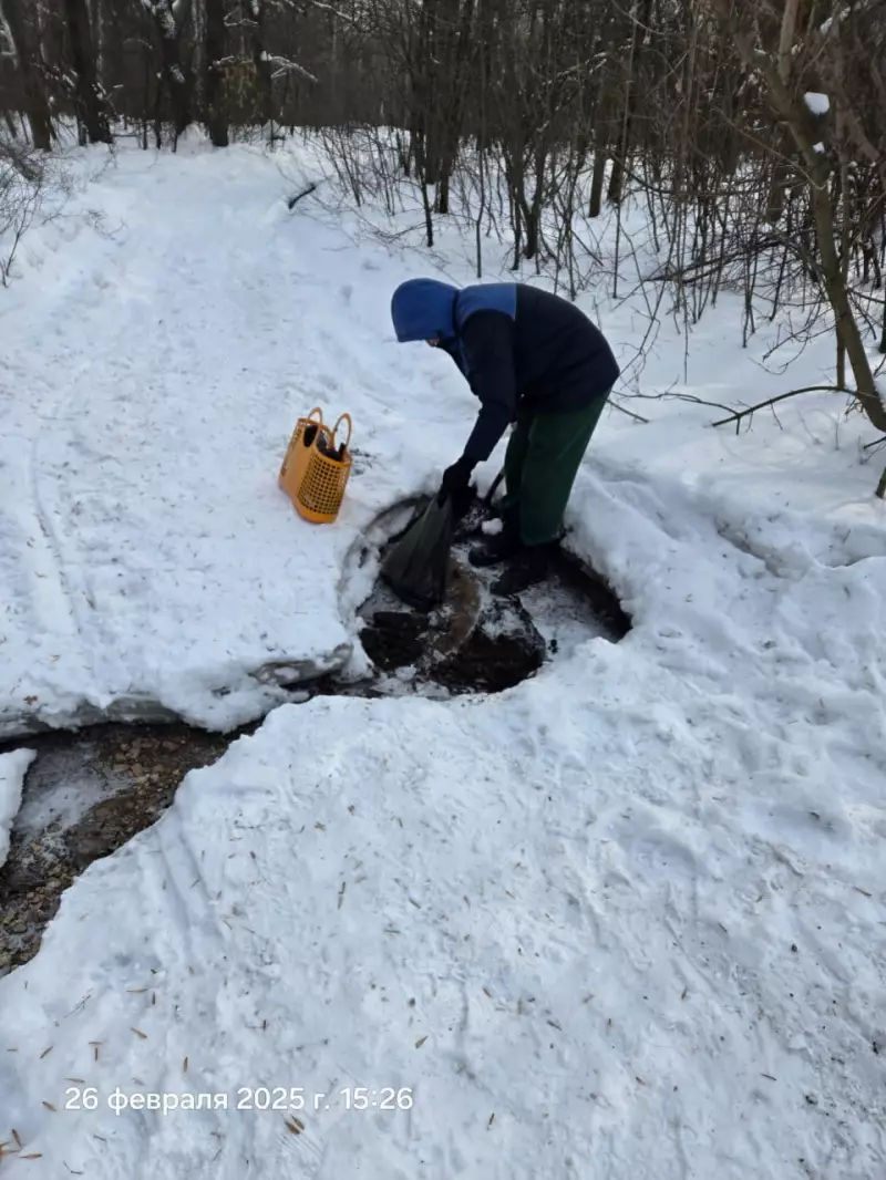 Выполнение государственного задания