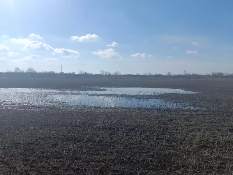 О бывшей свалке в районе ПАО «АвтоВАЗ»