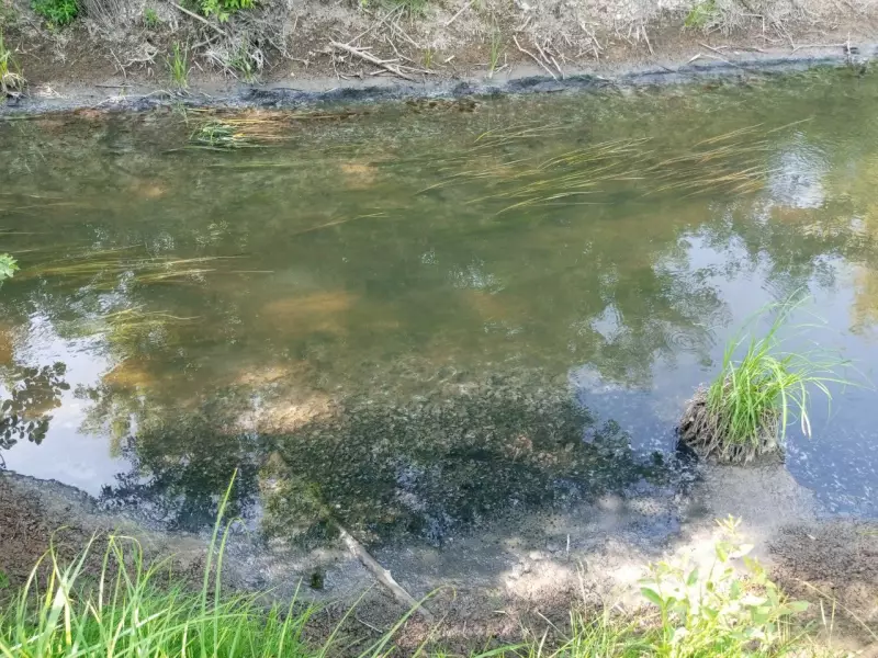 Выполнение государственного задания