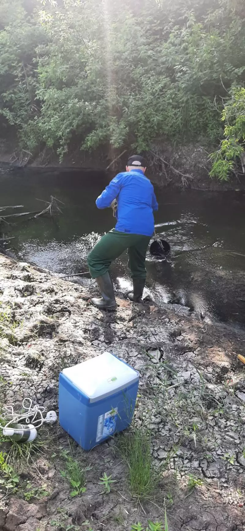 Выполнение государственного задания