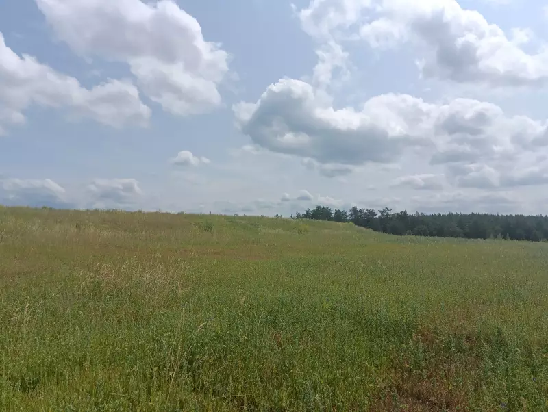 О бывшей свалке в районе ОАО «АвтоВазАгрегат»