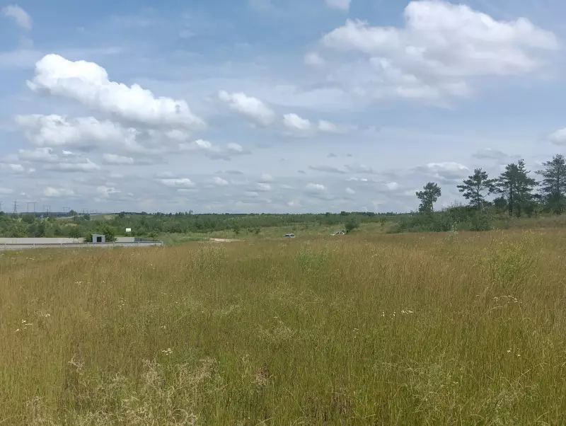 О бывшей свалке в районе ОАО «АвтоВазАгрегат»