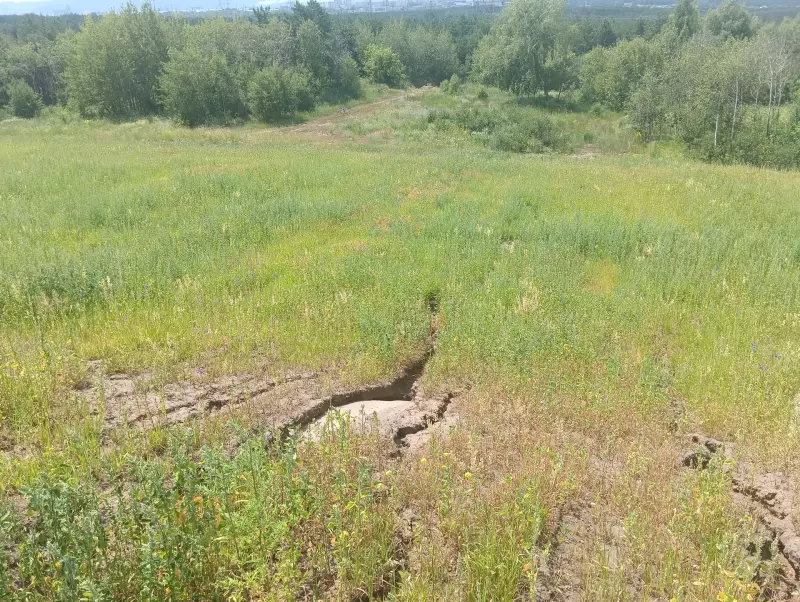 О бывшей свалке в районе ОАО «АвтоВазАгрегат»