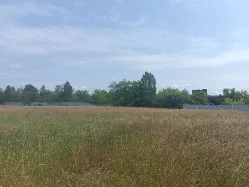 О бывшей свалке в районе ПАО «АвтоВАЗ»