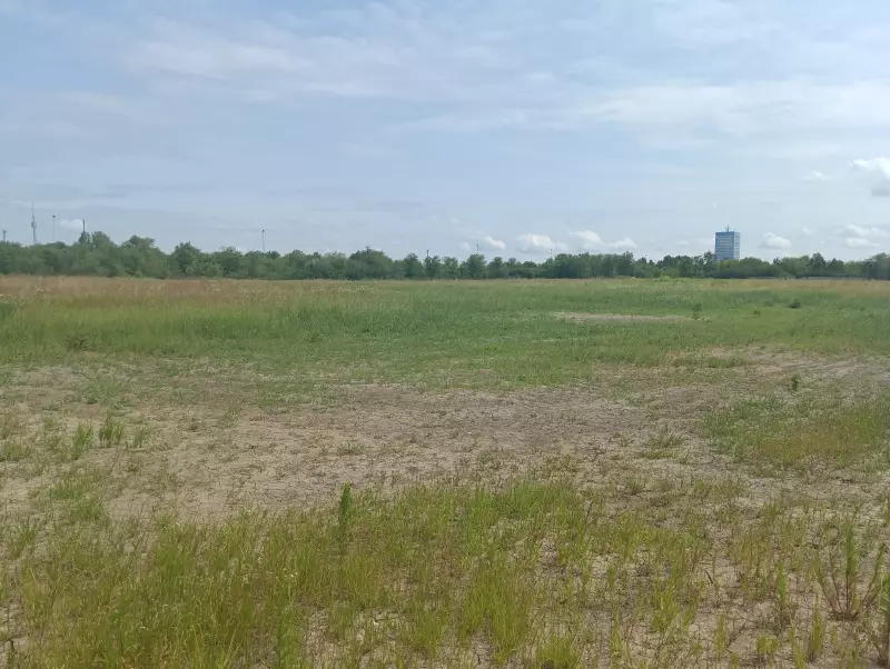 О бывшей свалке в районе ПАО «АвтоВАЗ»