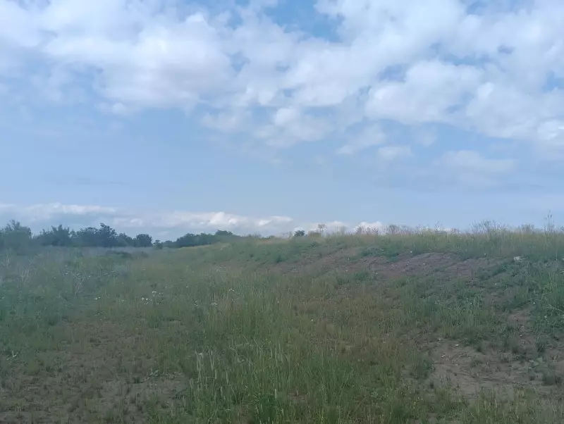 О бывшей свалке в районе ПАО «АвтоВАЗ»