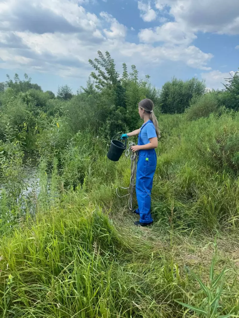 Замор рыбы на р. Падовка