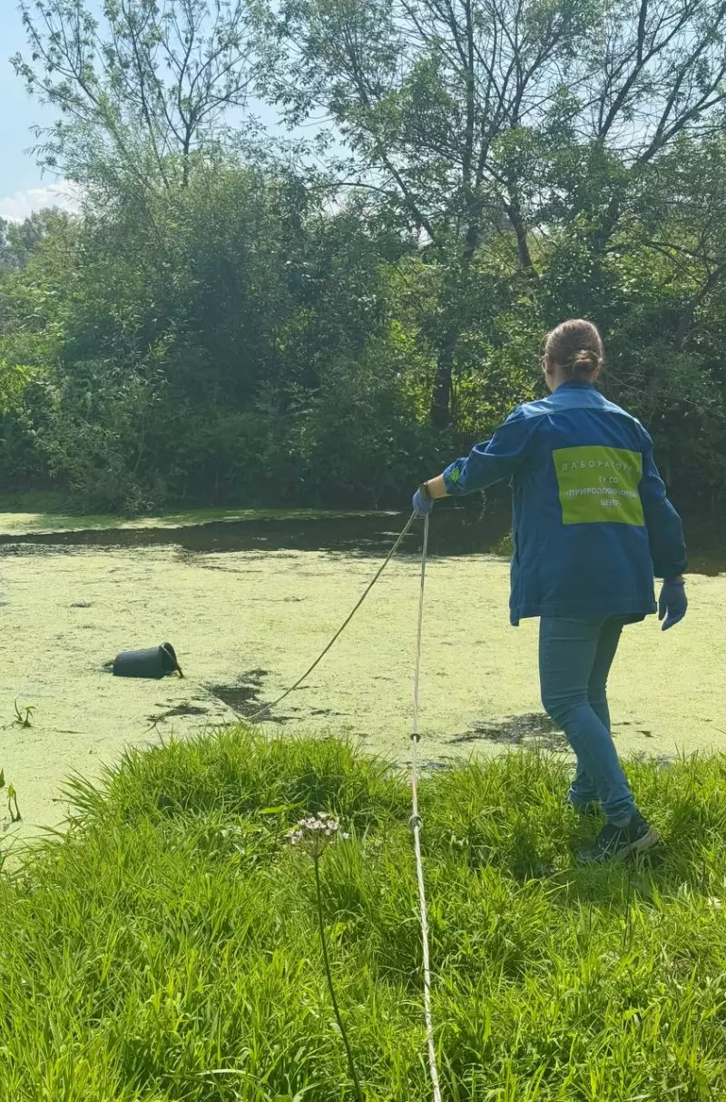 Замор рыбы на р. Падовка