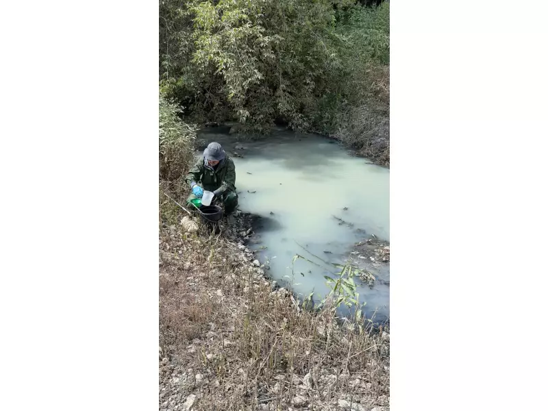 Замор рыбы на р. Падовка