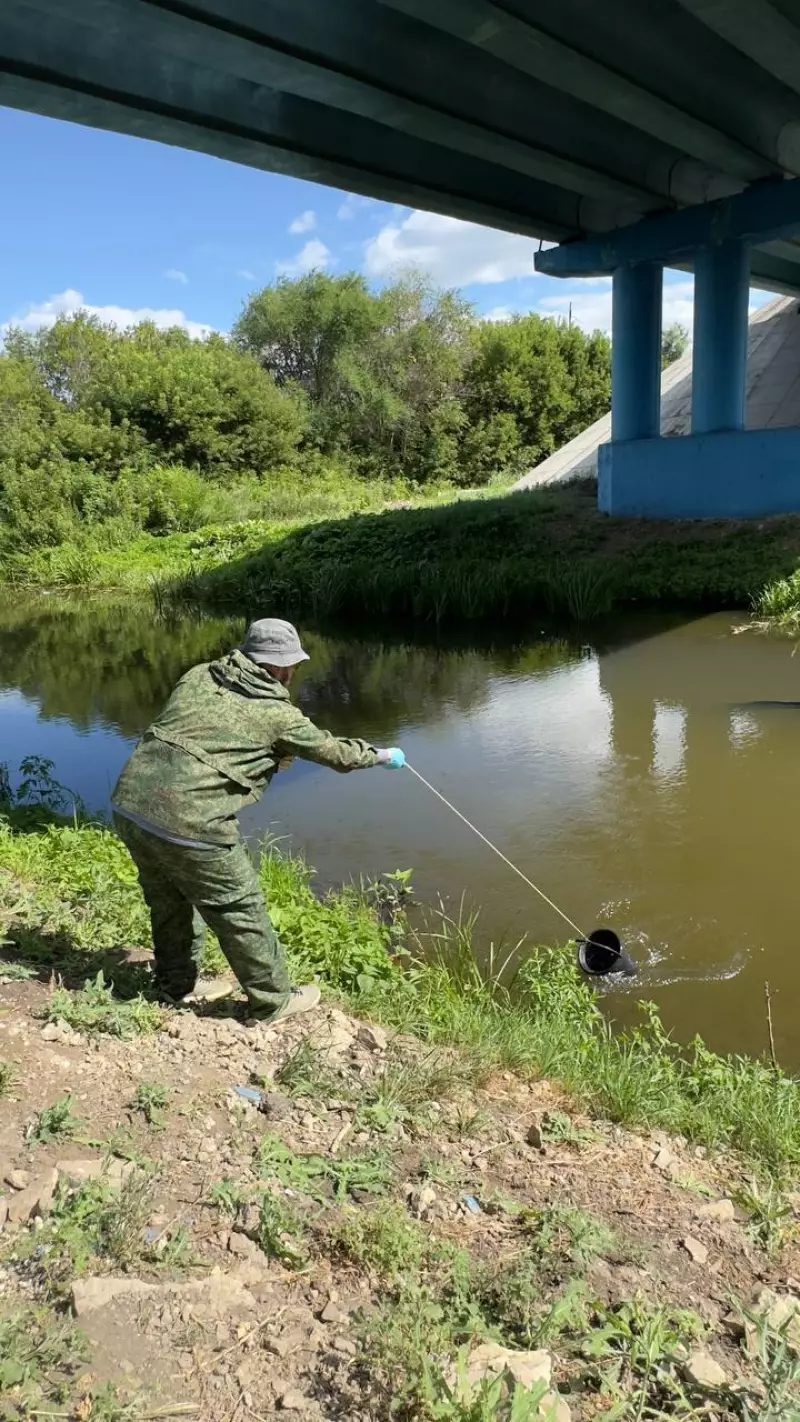 Замор рыбы на р. Падовка