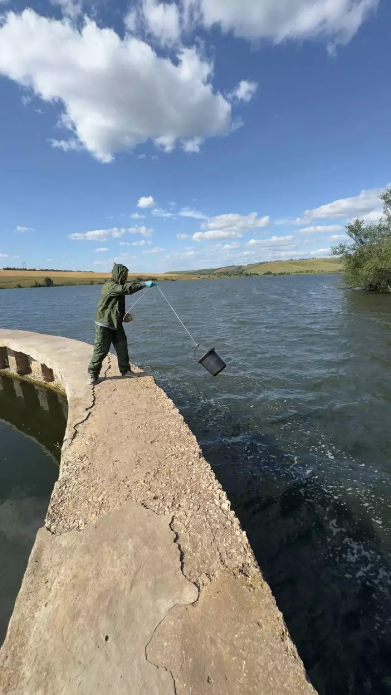 Замор рыбы на р. Падовка