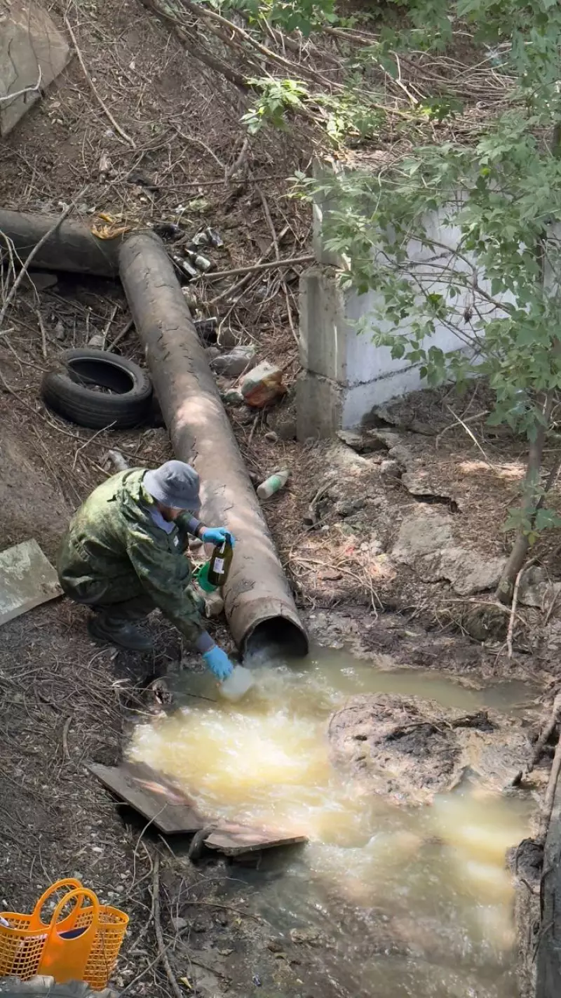 Замор рыбы на р. Падовка