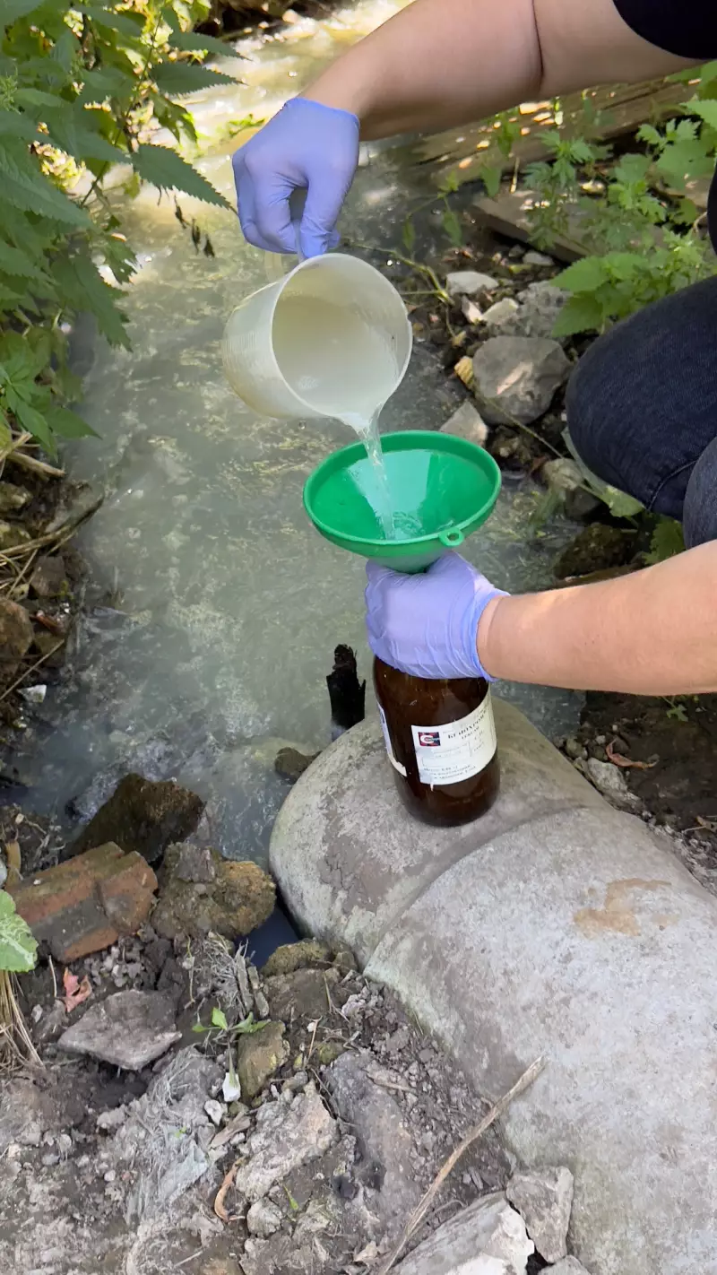 Замор рыбы на р. Падовка