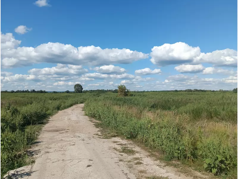 О рекультивации в Рождествено!