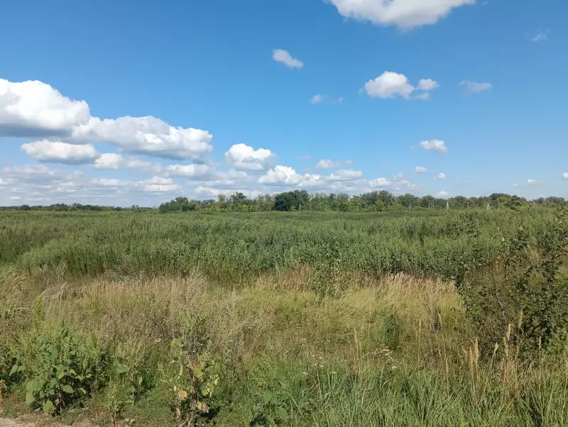 О рекультивации в Рождествено!