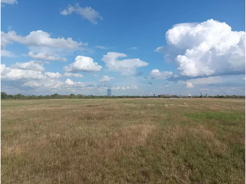 О бывшей свалке в районе ПАО «АвтоВАЗ»