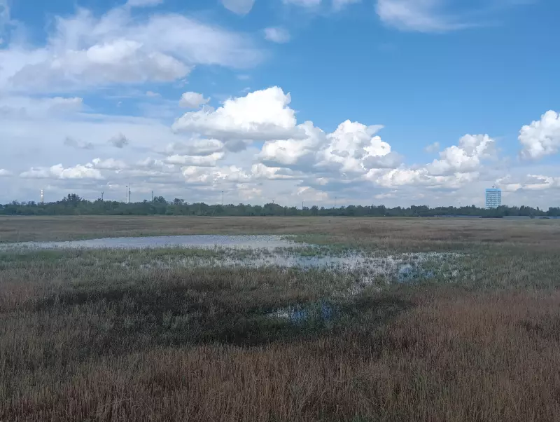 О бывшей свалке в районе ПАО «АвтоВАЗ»