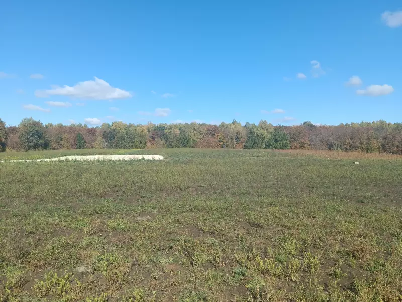 Рекультивация свалки ТБО рядом с г. Жигулевск