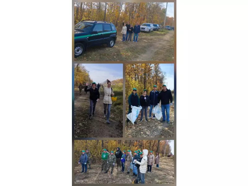 Сохраним лес