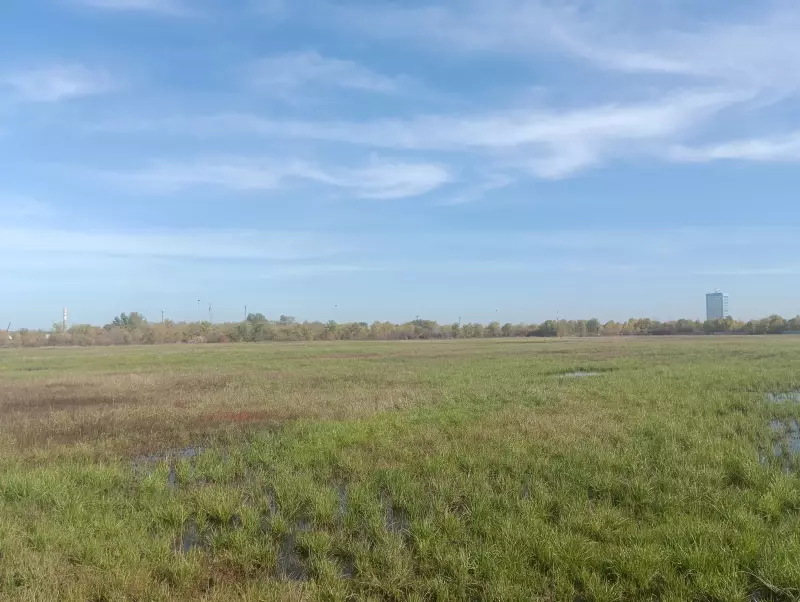 О бывшей свалке в районе ПАО «АвтоВАЗ»