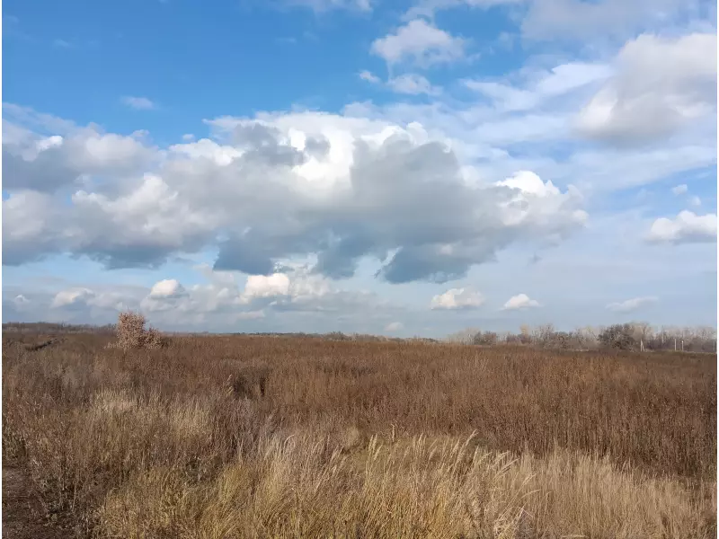 Пост - рекультивационный период в Рождествено