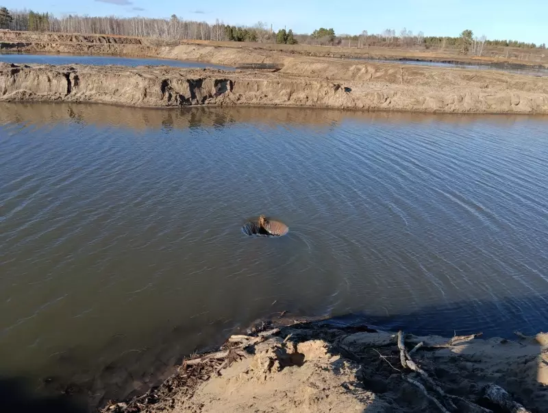 Расчистка русла р. Сызранка