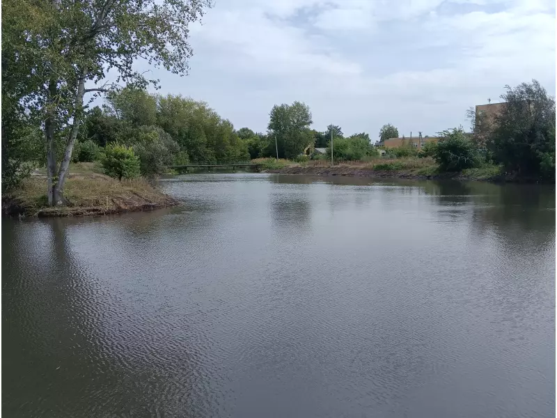 Расчистка пруда Барский