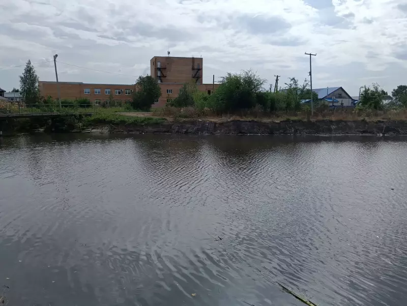 Расчистка пруда Барский