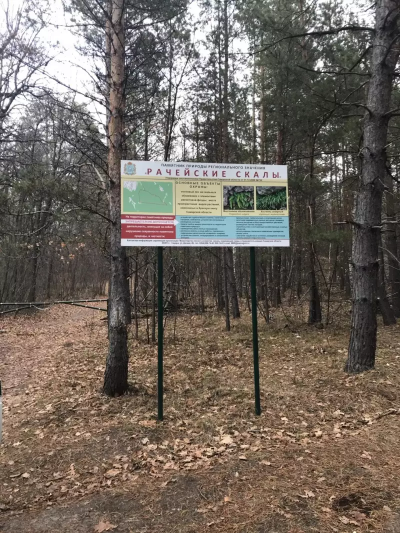 Деятельность в рамках управления региональными ООПТ и развития экологического туризма