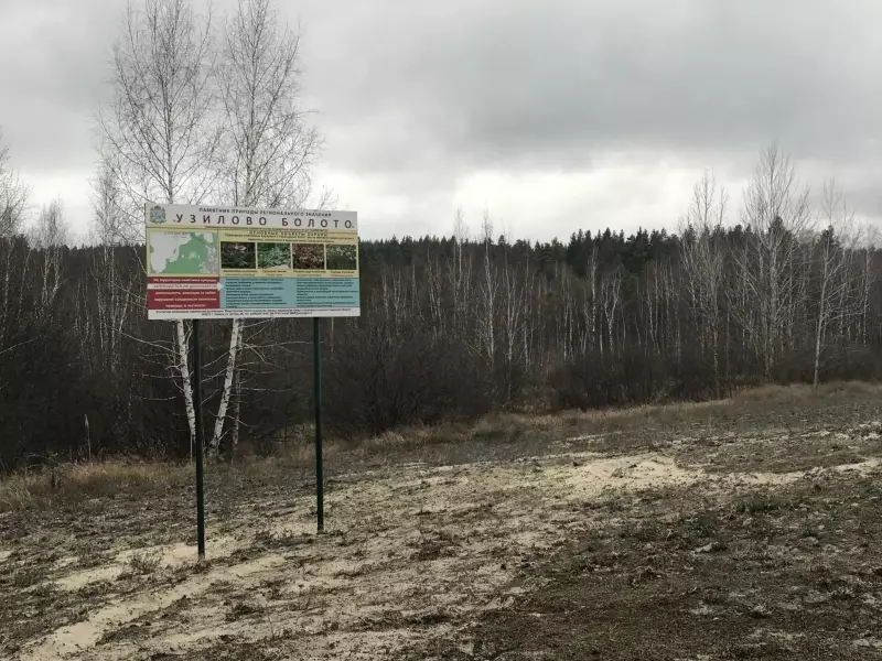 Деятельность в рамках управления региональными ООПТ и развития экологического туризма