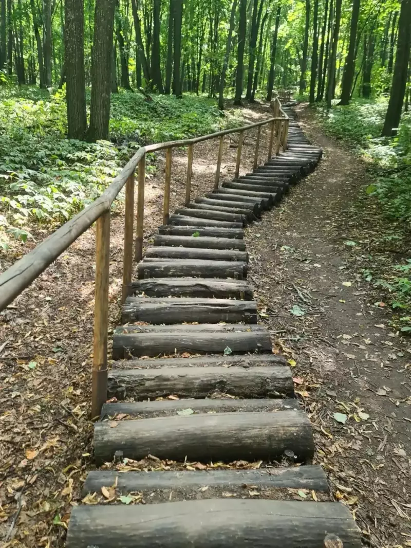 Изучение опыта